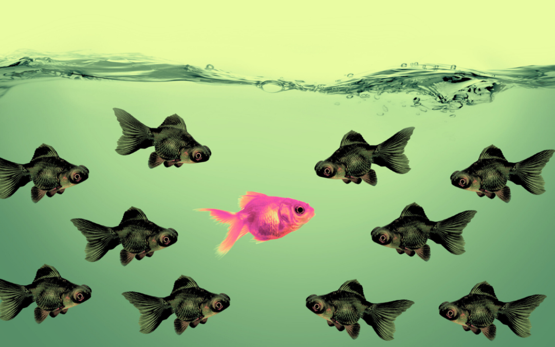 Why Buyer Personas are a Critical Element of your Marketing